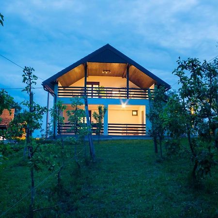Holiday Home Dandelion With Hot Tub & Sauna Cetingrad Eksteriør bilde