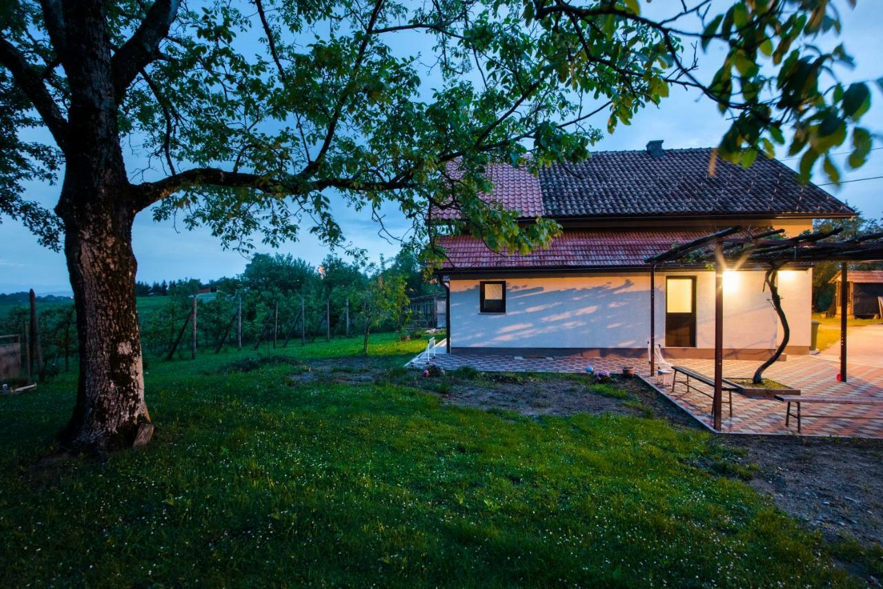Holiday Home Dandelion With Hot Tub & Sauna Cetingrad Eksteriør bilde