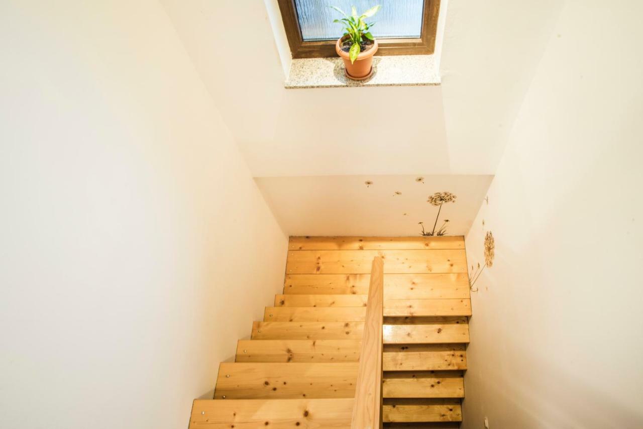 Holiday Home Dandelion With Hot Tub & Sauna Cetingrad Eksteriør bilde